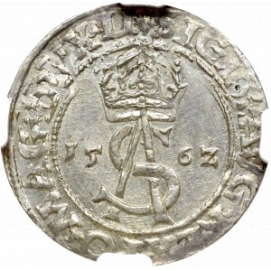 Zygmunt II August, Trojak 1562, Wilno - NGC MS63 SZEROKI KRĄŻEK !