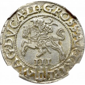 Zygmunt II August, Trojak 1562, Wilno - NGC MS63 SZEROKI KRĄŻEK !