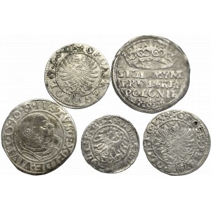 Zestaw 5 monet z okresu Polski Królewskiej