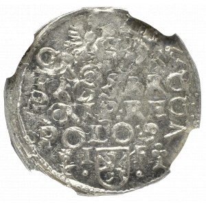 Zygmunt III Waza, Trojak 1597, Wschowa