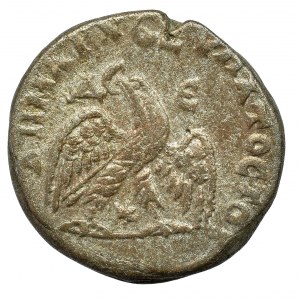 Roman Provincial, Syria, Elagabalus, Tetradrachm Antiochia