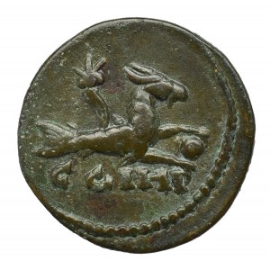 Roman Provincial, Mysia, Parium, Caracalla, Ae