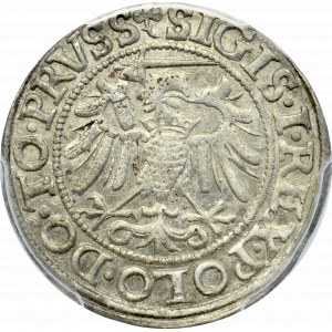 Zygmunt I Stary, Grosz 1540, Elbląg - PRVSS PCGS MS62 