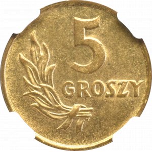 PRL, PRÓBA 5 groszy 1949 mosiądz - NGC MS64