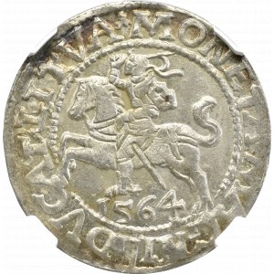 Zygmunt II August, Półgrosz 1564, Wilno - NGC MS65 