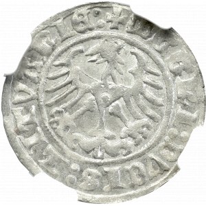 Zygmunt I Stary, Półgrosz 1512, Wilno - NGC MS64