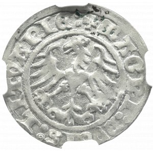 Zygmunt I Stary, Półgrosz 1512, Wilno - NGC MS62