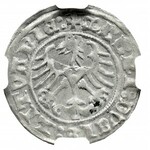 Zygmunt I Stary, Półgrosz 1512, Wilno - MG/AA/GNI NGC MS63