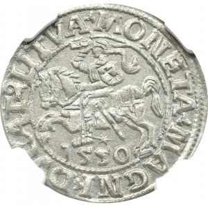 Zygmunt II August, Półgrosz 1550, Wilno - NGC MS63 