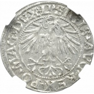 Zygmunt II August, Półgrosz 1549, Wilno - NGC MS63 