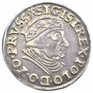 Zygmunt I Stary, Trojak 1539, Gdańsk - PRVSS
