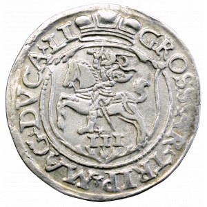 Zygmunt II August, Trojak 1564, Wilno