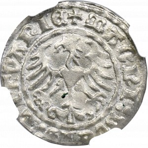 Zygmunt I Stary, Półgrosz 1512, Wilno - NGC MS65