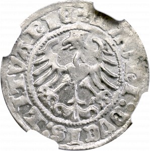 Zygmunt I Stary, Półgrosz 1513, Wilno - NGC MS64