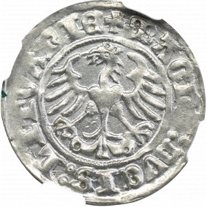 Zygmunt I Stary, Półgrosz 1511, Wilno - NGC MS64