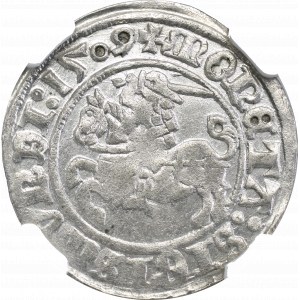 Zygmunt I Stary, Półgrosz 1509, Wilno - NGC MS61 