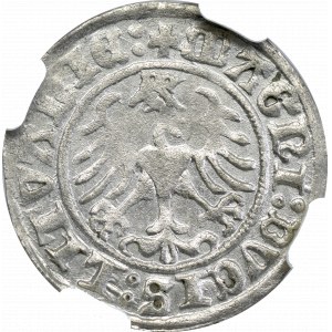 Zygmunt I Stary, Półgrosz 1509, Wilno - NGC MS61 
