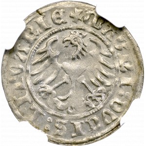 Zygmunt I Stary, Półgrosz 1510, Wilno - NGC MS63