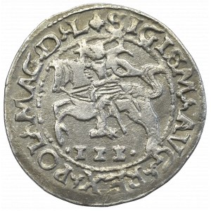 Zygmunt II August, Trojak szyderczy 1566, Tykocin - rzadkość