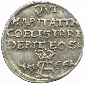 Zygmunt II August, Trojak szyderczy 1566, Tykocin - rzadkość