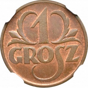II Rzeczpospolita, 1 grosz 1925 - NGC MS65 RB