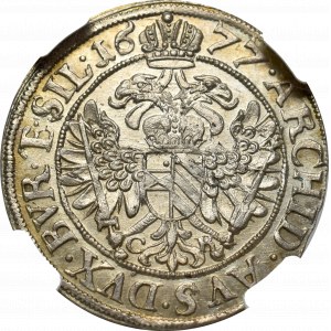 Śląsk, Leopold I, 6 Krajcarów 1677 CB, Brzeg - NGC MS65