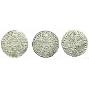 Zbiór trzech półgroszy lata 1547-1549