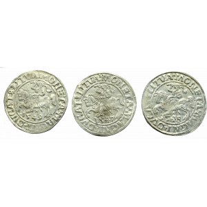 Zbiór trzech półgroszy lata 1547-1549