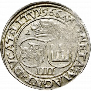 Zygmunt II August, Czworak 1566, Wilno - L/LITV 