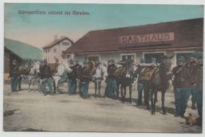 Postkarte - Gebirgsartillerie wahrend des Marsches / Mountain Artillery