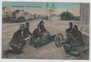 Postcard - Gebirgsartillerie in position / Mountain Artillery.