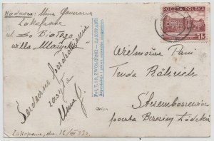 Carte postale - Edelweiss dans la vallée de Koscieliska