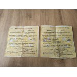 Set of documents of the Second Republic / Passport , Vienna Conservatory ...
