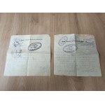 Set of documents of the Second Republic / Passport , Vienna Conservatory ...