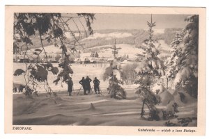 Zakopane . Gubałówka . view from the White Forest