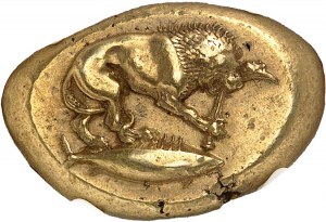 Mysia, Cyzique. Electrum ND statère (500-450 B.C.), Cyzique.