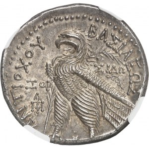 Syrien, Seleukidenreich, Antiochos VII (138-129 v. Chr.). Tetradrachme SE 177 (136-135 v. Chr.), Sidon.