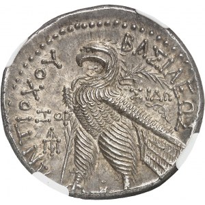 Sýria, Seleukovské kráľovstvo, Antiochos VII (138-129 pred n. l.). Tetradrachma SE 177 (136-135 pred n. l.), Sidon.