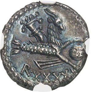 Mauretania, Juba II (25 p.n.e. - 23 n.e.). Denar 16 (rok XXXXI), Cezarea.
