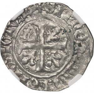 Charles VII (1422-1461). Blanc à la couronnelle ND (1423), L, Loches.