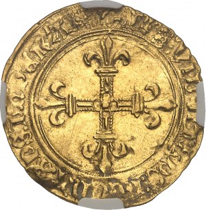 Karol VIII (1483-1498). Zlatý štít so slnkom Dauphiné, 1. typ ND, Grenoble.