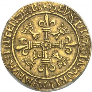 Luigi XII (1498-1514). Scudo d'oro con istrice di Bretagna, 1° tipo ND (1507), N, Nantes.