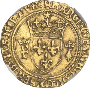 František I. (1515-1547). Zlatý štít s bretaňským sluncem, 2. typ ND (1534-1540), N, Nantes.