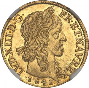 Luigi XIII (1610-1643). Louis d'or à la mèche longue 1641, A, Parigi.