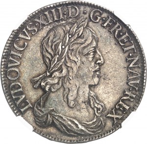 Ludvík XIII (1610-1643). Stříbrný štít, 2. typ 1642, A, Paříž (růže mezi dvěma tečkami).