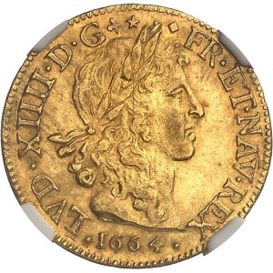 Ludwig XIV. (1643-1715). Louis d'or juvenile lauré 1664, D, Lyon.