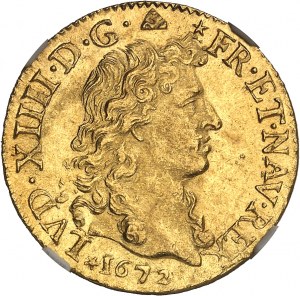 Luigi XIV (1643-1715). Louis d'or à la tête nue 1672, D, Lyon.