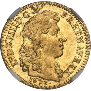 Ludvík XIV (1643-1715). Louis d'or à la tête nue 1673, A, Paříž.