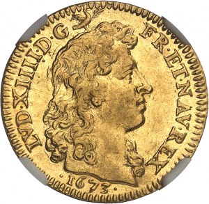 Ľudovít XIV (1643-1715). Louis d'or à la tête nue 1673, A, Paríž.