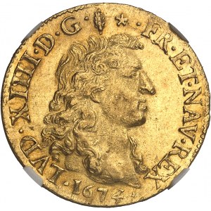 Ludvík XIV (1643-1715). Louis d'or à la tête nue 1674/3, D, Lyon.